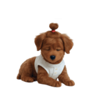かわいい茶色の子犬 (NT)（個別スタンプ：37）