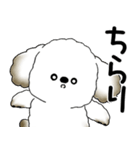 犬さん「飛び出す」とにかく面倒くさい...（個別スタンプ：1）