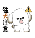 犬さん「飛び出す」とにかく面倒くさい...（個別スタンプ：24）