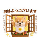 飛び出す癒ししばいぬのラフな敬語（個別スタンプ：1）