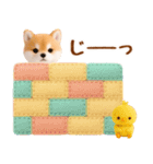 飛び出す癒ししばいぬのラフな敬語（個別スタンプ：21）