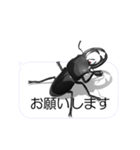 スマホの上のオオクワガタ1（個別スタンプ：1）