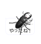 スマホの上のオオクワガタ1（個別スタンプ：14）