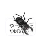 スマホの上のオオクワガタ1（個別スタンプ：17）