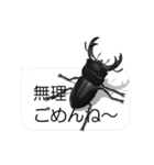 スマホの上のオオクワガタ1（個別スタンプ：19）