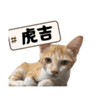 サヤカの家のペットたち（個別スタンプ：7）