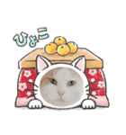 サヤカの家のペットたち（個別スタンプ：30）