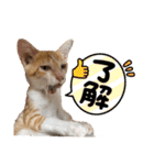 サヤカの家のペットたち（個別スタンプ：32）
