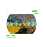 クメール語ココン州で日常挨拶気力（個別スタンプ：12）