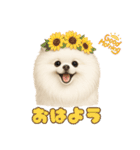 きよんももひなまり♥ひな太郎のスタンプ（個別スタンプ：1）