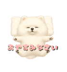 きよんももひなまり♥ひな太郎のスタンプ（個別スタンプ：2）