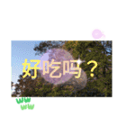 秋の日の日常台湾語 紅葉の挨拶カエデの葉（個別スタンプ：2）