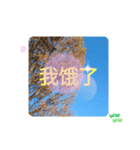 秋の日の日常台湾語 紅葉の挨拶カエデの葉（個別スタンプ：6）