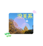 秋の日の日常台湾語 紅葉の挨拶カエデの葉（個別スタンプ：12）