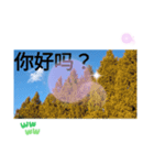 秋の日の日常台湾語 紅葉の挨拶カエデの葉（個別スタンプ：14）