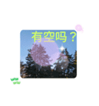 秋の日の日常台湾語 紅葉の挨拶カエデの葉（個別スタンプ：15）