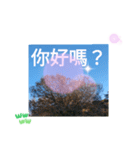 秋の日の日常台湾語 紅葉の挨拶カエデの葉（個別スタンプ：24）