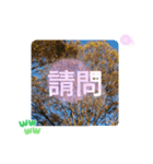 秋の日の日常台湾語 紅葉の挨拶カエデの葉（個別スタンプ：27）