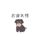 いろんな犬のスタンプ、（個別スタンプ：1）