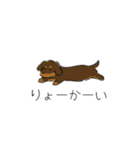 いろんな犬のスタンプ、（個別スタンプ：11）