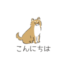 いろんな犬のスタンプ、（個別スタンプ：14）