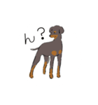 いろんな犬のスタンプ、（個別スタンプ：17）