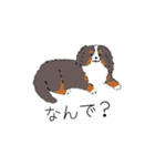 いろんな犬のスタンプ、（個別スタンプ：18）