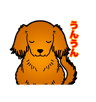 レオくんやよ！（個別スタンプ：9）
