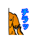 レオくんやよ！（個別スタンプ：19）