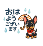 夏も元気にミニチュアピンシャー（個別スタンプ：1）