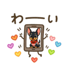 夏も元気にミニチュアピンシャー（個別スタンプ：5）