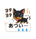 夏も元気にミニチュアピンシャー（個別スタンプ：6）