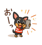 夏も元気にミニチュアピンシャー（個別スタンプ：11）