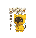 夏も元気にミニチュアピンシャー（個別スタンプ：13）