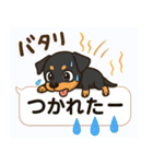 夏も元気にミニチュアピンシャー（個別スタンプ：20）