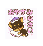 夏も元気にミニチュアピンシャー（個別スタンプ：21）