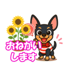 夏も元気にミニチュアピンシャー（個別スタンプ：36）