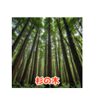 三重の魅力！伊勢神宮と美食（個別スタンプ：22）