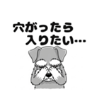 ミニチュアシュナウザーのしゅな吉（個別スタンプ：4）