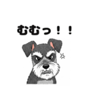 ミニチュアシュナウザーのしゅな吉（個別スタンプ：5）