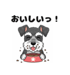 ミニチュアシュナウザーのしゅな吉（個別スタンプ：6）