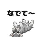 ミニチュアシュナウザーのしゅな吉（個別スタンプ：9）