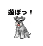 ミニチュアシュナウザーのしゅな吉（個別スタンプ：10）
