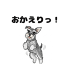 ミニチュアシュナウザーのしゅな吉（個別スタンプ：13）