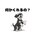 ミニチュアシュナウザーのしゅな吉（個別スタンプ：14）