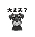 ミニチュアシュナウザーのしゅな吉（個別スタンプ：16）