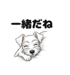 ミニチュアシュナウザーのしゅな吉（個別スタンプ：17）