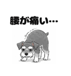 ミニチュアシュナウザーのしゅな吉（個別スタンプ：19）