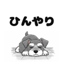 ミニチュアシュナウザーのしゅな吉（個別スタンプ：20）