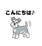 ミニチュアシュナウザーのしゅな吉（個別スタンプ：23）